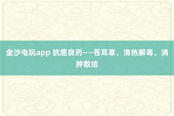 金沙電玩app 抗癌良藥——蒼耳草,清熱解毒,消腫散結