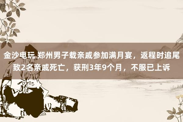 金沙電玩 鄭州男子載親戚參加滿月宴，返程時(shí)追尾致2名親戚死亡，獲刑3年9個(gè)月，不服已上訴