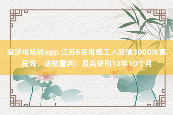 金沙電玩城app 江蘇6名電纜工人狂偷3000米高壓線,法院重判:最高獲刑12年10個月