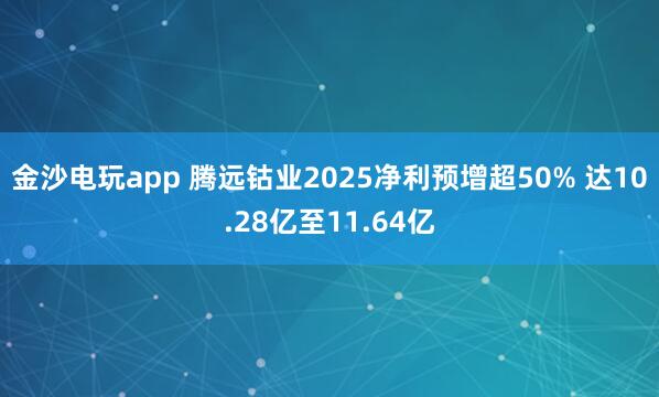 金沙電玩app 騰遠鈷業(yè)2025凈利預增超50% 達10.28億至11.64億