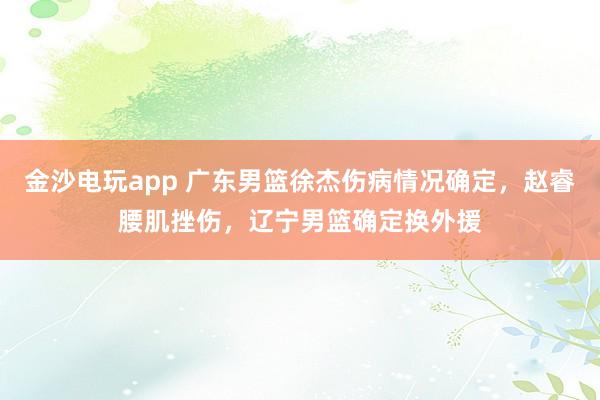金沙電玩app 廣東男籃徐杰傷病情況確定，趙睿腰肌挫傷，遼寧男籃確定換外援