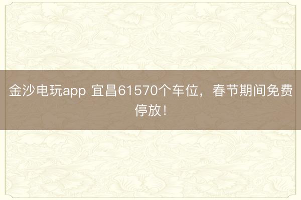 金沙電玩app 宜昌61570個車位，春節期間免費停放！