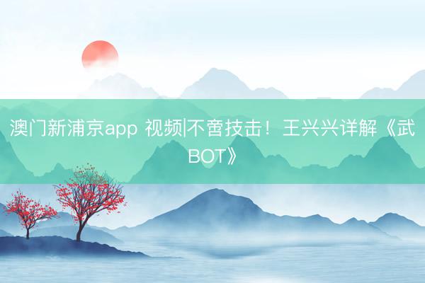 澳門新浦京app 視頻|不啻技擊！王興興詳解《武BOT》