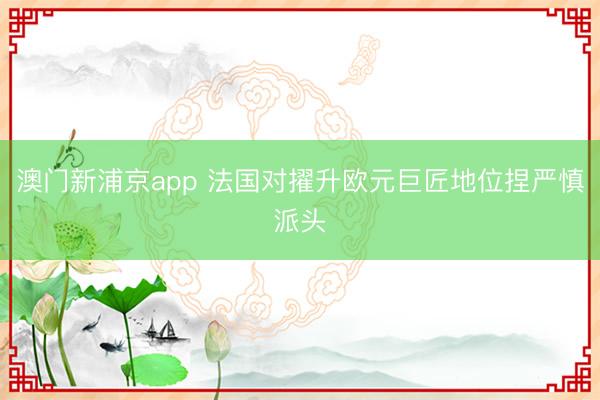 澳門新浦京app 法國對擢升歐元巨匠地位捏嚴(yán)慎派頭