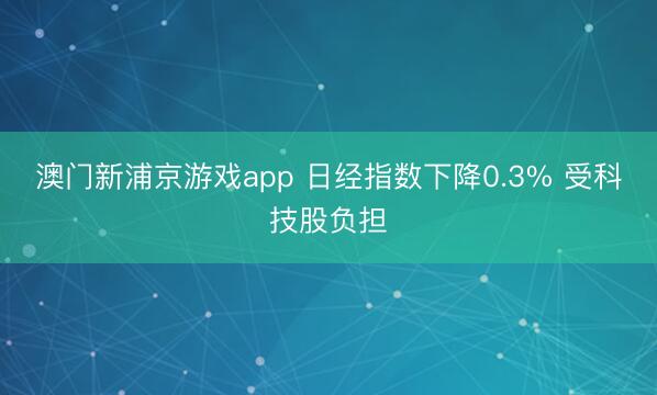 澳門(mén)新浦京游戲app 日經(jīng)指數(shù)下降0.3% 受科技股負(fù)擔(dān)