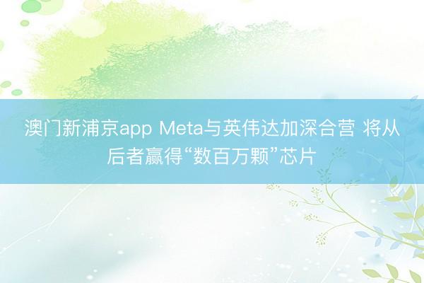 澳門(mén)新浦京app Meta與英偉達(dá)加深合營(yíng) 將從后者贏得“數(shù)百萬(wàn)顆”芯片