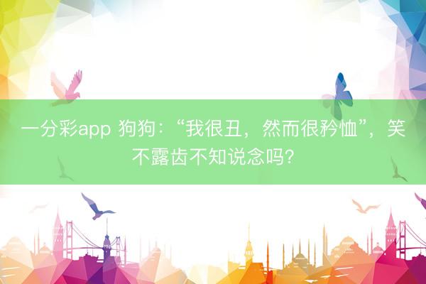 一分彩app 狗狗：“我很丑，然而很矜恤”，笑不露齒不知說念嗎？