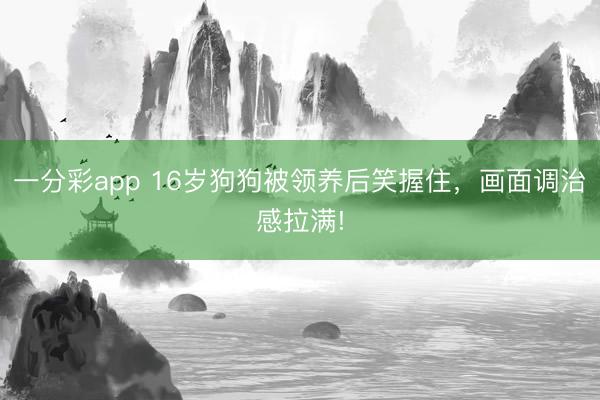 一分彩app 16歲狗狗被領養(yǎng)后笑握住，畫面調(diào)治感拉滿!