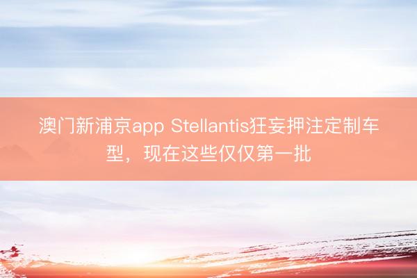 澳門(mén)新浦京app Stellantis狂妄押注定制車(chē)型，現(xiàn)在這些僅僅第一批