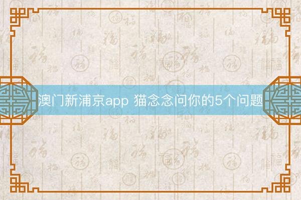 澳門新浦京app 貓念念問你的5個問題