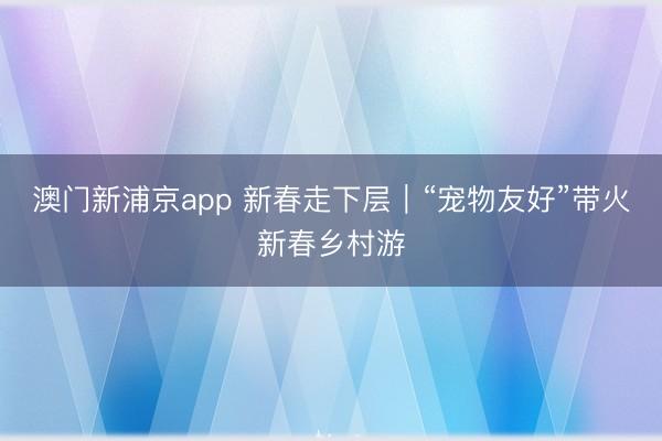 澳門新浦京app 新春走下層｜“寵物友好”帶火新春鄉村游