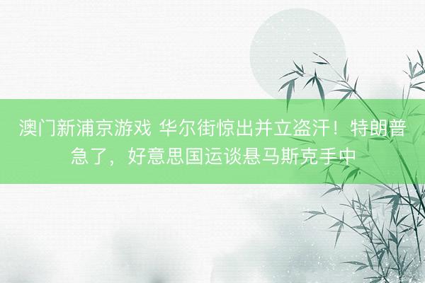 澳門新浦京游戲 華爾街驚出并立盜汗！特朗普急了，好意思國運(yùn)談懸馬斯克手中